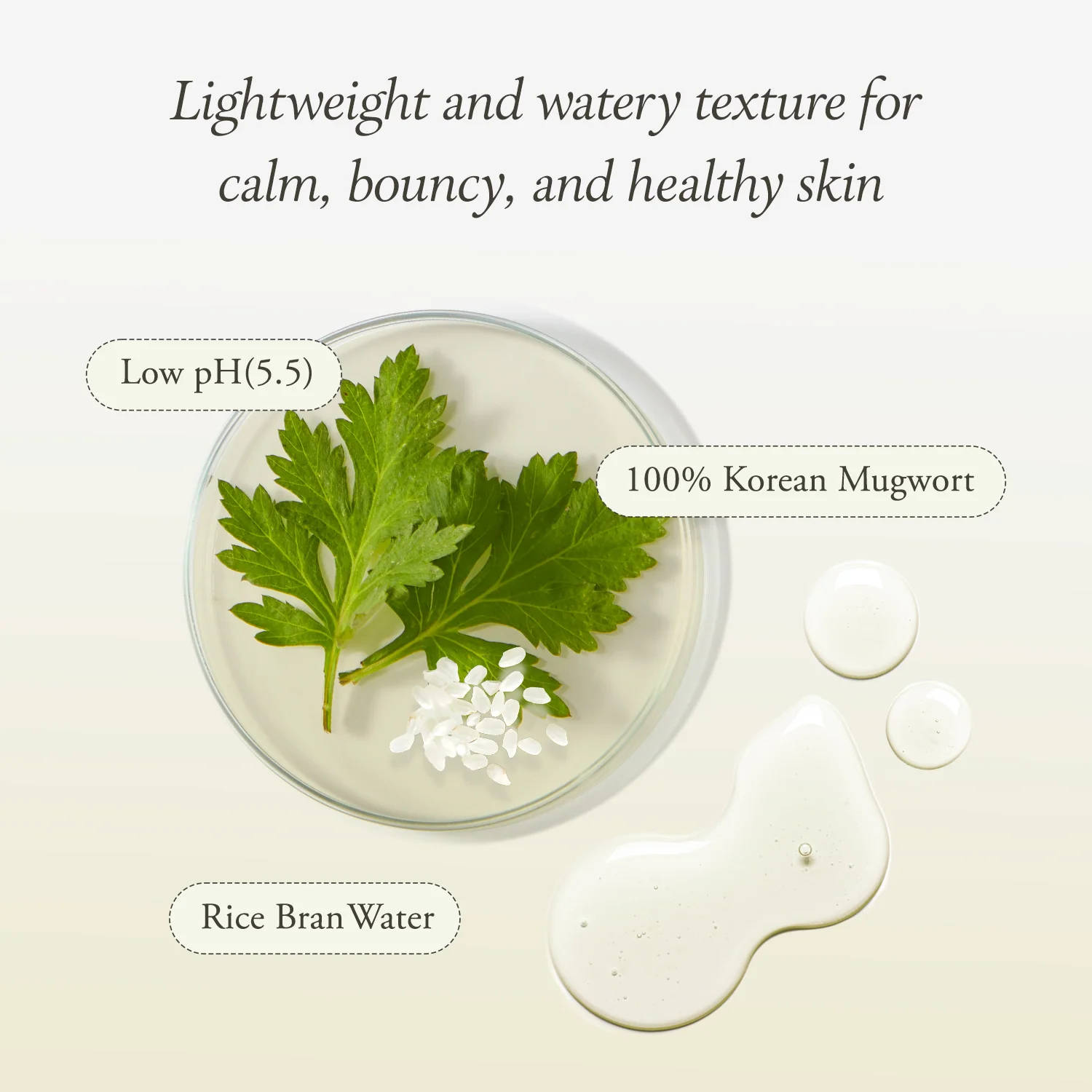 Artemisia Rice Toner - Image 4