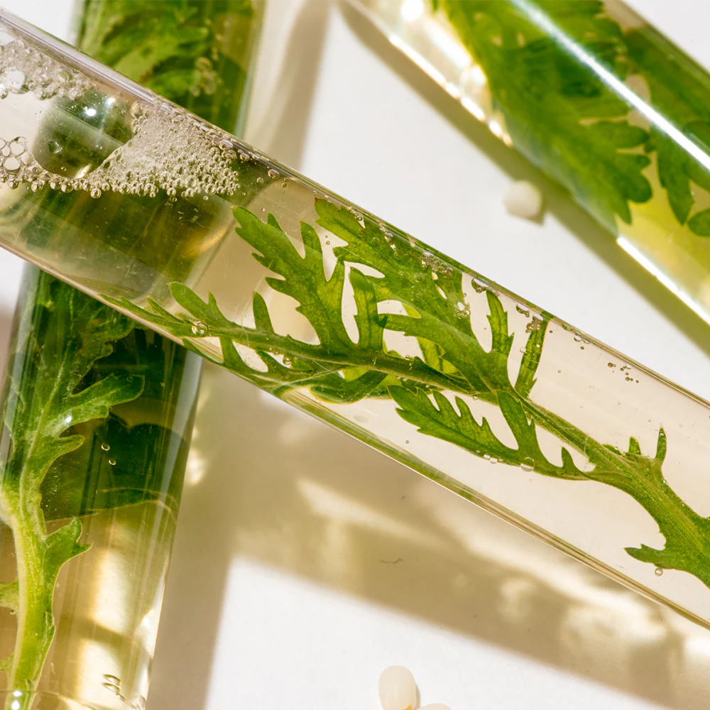 Artemisia Rice Toner - Image 7