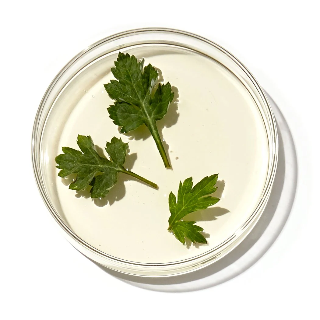 Artemisia Rice Toner - Image 8