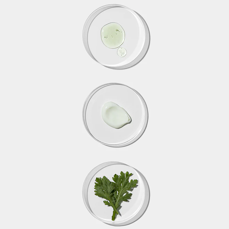 Artemisia Squalane Hydra Gel Cream - Image 8